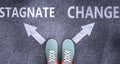 Stagnate and change as different choices in life - pictured as words Stagnate, change on a road to symbolize making decision and