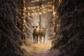 Stags walking in the snow in a wood with Christmas lights