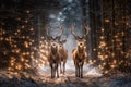 Stags walking in the snow in a wood with Christmas lights