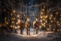 Stags walking in the snow in a wood with Christmas lights, getting close to the human place