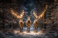 Stags walking in a park with pine trees and Christmas light chains while snowing