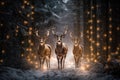 Stags walking on a path in the wood while snowing with trees decorated with Christmas lights