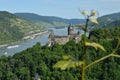 Stahleck and vineyard with river rhine in Germany