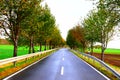 staight rural avenue in autumn with a curve in the end and wet asphalt