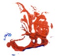 Stain of blue and red oil paint. smear on white Royalty Free Stock Photo