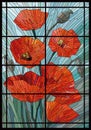 Stained glass big flowers poppies on a gray turquoise background in the window. Black lines Royalty Free Stock Photo