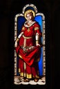 A stained glass from Blois Chateau Royalty Free Stock Photo
