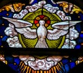 Stained Glass - Dove, Holy Spirit Royalty Free Stock Photo