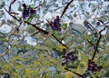 Stained glass grapes mosaic Royalty Free Stock Photo