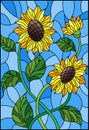 Stained glass illustration with a bouquet of sunflowers, flowers,buds and leaves of the flower on blue background Royalty Free Stock Photo