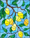 Stained glass illustration with the branches of lemon tree , the fruit branches and leaves against the sky Royalty Free Stock Photo