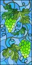 Stained glass illustration with a bunch of green grapes and leaves on blue background,vertical image