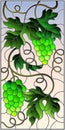 Stained glass illustration with a bunch of green grapes and leaves on sky background,vertical image