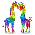 Stained glass illustration with figures of abstract rainbow giraffes, isolated on a white background