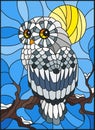 Stained glass illustration with white polar owl sitting on a tree branch against the sky and the sun Royalty Free Stock Photo