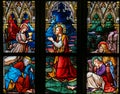 Stained Glass - Jesus in the Garden of Gethsemane Royalty Free Stock Photo