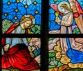 Stained Glass - Jesus in the Garden of Gethsemane Royalty Free Stock Photo