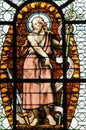 Stained Glass - John the Baptist Royalty Free Stock Photo