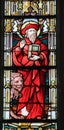 Stained Glass - Saint Jerome