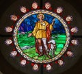 Stained Glass of Saint Roch in Bologna Royalty Free Stock Photo