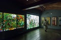 Stained-glass window in interior of Museum of Catalan Modernisme Royalty Free Stock Photo