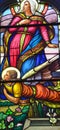 Stained glass window of Metropolitan Cathedral of Our Lady of the Holy Rosary