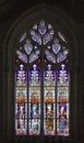 Stained-glass window in Seville cathedral, Spain