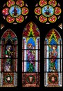 Stained glass windows of Freiburg Minster
