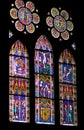 Stained glass windows of Freiburg Minster