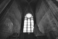 Stained Glasses under Holy Light with Notre Dame Cathedral as Monochrome