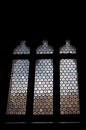 Stained window, glass in lead, Palazzo pubblico, ,  Siena, Tuscany, Italy Royalty Free Stock Photo