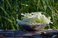 Stainless bowl filled with shredded cabbage sits on a log with beach grass behind in preparatioon for a camp meal Royalty Free Stock Photo