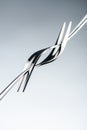 stainless forks with two tines Royalty Free Stock Photo