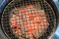 Stainless grill pit with flaming charcoal Royalty Free Stock Photo