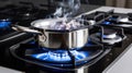 Stainless pan on the hob, cooking on a gas stove, the cost of gas