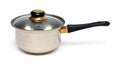 Stainless pot with handle Royalty Free Stock Photo