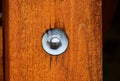 stainless steel acorn bolt head fastener and washer on brown stained timber post Royalty Free Stock Photo