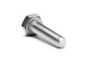 Stainless steel bolt