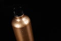 Stainless steel bottle Royalty Free Stock Photo