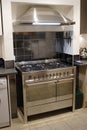 Stainless steel cooker