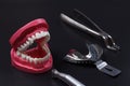 Stainless steel dental tools and layout of a human jaw on the black background Royalty Free Stock Photo