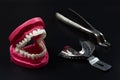 Stainless steel dental tools and layout of a human jaw on the black background Royalty Free Stock Photo