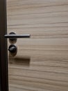 stainless steel door handle on the toilet door at the gas station. the lock is