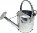 Stainless steel garden watering can on a white background