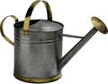 Stainless steel garden watering can on a white background