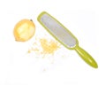 Stainless steel grate zester with lemon