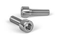 Stainless steel hexagon socked screw