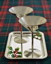 Stainless steel martini glasses on tray Royalty Free Stock Photo