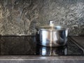 Stainless steel metal pan on induction hob Royalty Free Stock Photo