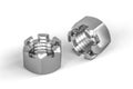 Stainless steel nut slotted